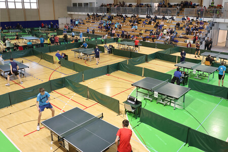 DRŽAVNO PRVENSTVO V NAMIZNEM TENISU 14 FOTO LJUBO VUKELIČ